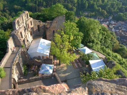 照片: Burgruine Windeck